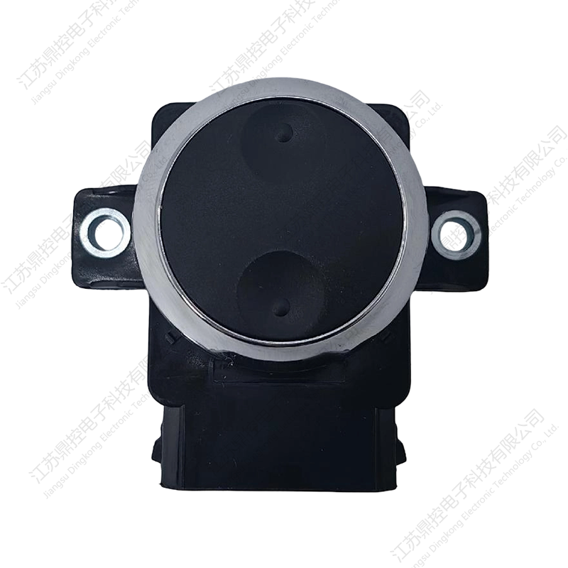 DKW-4 两项开关（功能可定制）